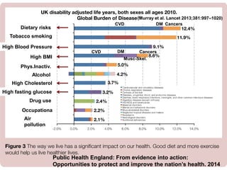 CVD
DMCVD
DM
Cancers
Musc-Skel.
CancersCVD
Public Health England: From evidence into action:
Opportunities to protect and improve the nation’s health. 2014
DM
(Murray et al. Lancet 2013;381:997–1020)
Dietary risks
Tobacco smoking
High Blood Pressure
High BMI
Phys.Inactiv.
Alcohol
High Cholesterol
High fasting glucose
Drug use
Occupationa
l Air
pollution
 