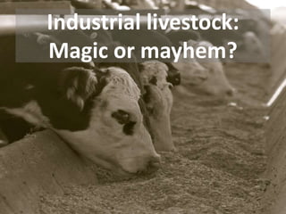 Industrial livestock:
Magic or mayhem?

 