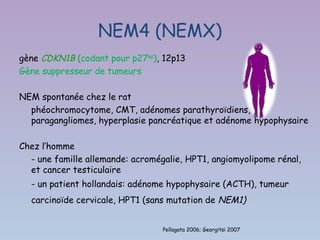 NEM4 (NEMX)
gène CDKN1B (codant pour p27kip1), 12p13
Gène suppresseur de tumeurs

NEM spontanée chez le rat
  phéochromocytome, CMT, adénomes parathyroïdiens,
  paragangliomes, hyperplasie pancréatique et adénome hypophysaire

Chez l’homme
  - une famille allemande: acromégalie, HPT1, angiomyolipome rénal,
  et cancer testiculaire
  - un patient hollandais: adénome hypophysaire (ACTH), tumeur
  carcinoïde cervicale, HPT1 (sans mutation de NEM1)


                                  Pellagata 2006; Georgitsi 2007
 