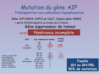 Mutation du gène AIP
                  Prédisposition aux adénomes hypophysaires
             Gène AIP (ARA9, XAP2) en 11q13 (région gène NEM1)
                  + perte d’hétérozygotie au niveau de la tumeur
                           Gène suppresseur de tumeur
                                      Pénétrance incomplète
                                                                 Familles
                           FIPA       Type adénome Nb familles
                                                                 mutées
                                          PRL          18
                          FIPA            GH           46          23
                                         ACTH           2
                        homogènes
                                          NS            1
                                                                     
                                        PRL GH         14           6
Vierimaa Science 2006                   PRL NS         12           1
Daly JCEM 2007                           GH NS          8
Toledo JCEM 2007           FIPA        GH PRL NS        4
Iwata Clin End 2007
Georgitsi PNAS 2007
                        hétérogènes   GH PRL ACTH       1                       Famille
                                        GH TRH          1
                                                                             GH ou GH+PRL
Naves EJE 2007
Raverot JEI 2007                       PRL ACTH         2
Leontiou JCEM 2008
                                                                            50% de mutations
                                       NS ACTH          1            
 