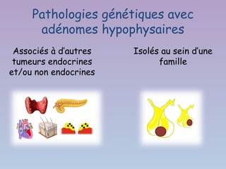 Pathologies génétiques avec
      adénomes hypophysaires
 Associés à d’autres   Isolés au sein d’une
 tumeurs endocrines          famille
et/ou non endocrines
 