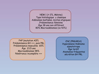 NEM 1 (≈ 2%, Ménine)
                    Type histologique ± classique
                 Adénomes multiples, mixtes atypiques
                       Prédominance féminine
                      Âge 38 ans non différent
                    80% Macroadénomes (vs 42%)




     PAP (mutation AIP)                         CNC (PRKAR1A)
Prédominance GH +++, puis PRL                Hyperplasie/Adénome
 Prédominance masculine 65%                      somatotrope
        Âge 23.5 ans                              Âge tardif
     Macroadénomes 98%                       Anomalies fréquentes
  Pénétrance incomplète +++                    sécrétion GH PRL
 