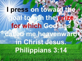 Philippians 3 14
