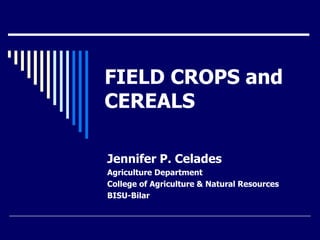 FIELD CROPS and
CEREALS
Jennifer P. Celades
Agriculture Department
College of Agriculture & Natural Resources
BISU-Bilar
 