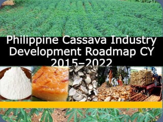 The Philippine Department of Agriculture and its Cassava Industry Roadmap