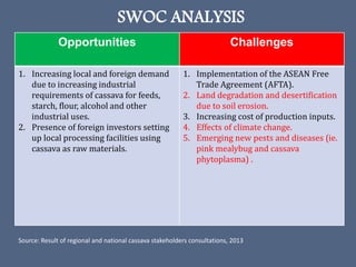 The Philippine Department of Agriculture and its Cassava Industry Roadmap