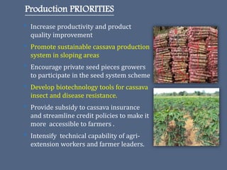 The Philippine Department of Agriculture and its Cassava Industry Roadmap