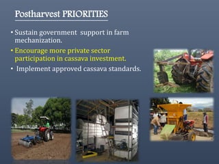 The Philippine Department of Agriculture and its Cassava Industry Roadmap