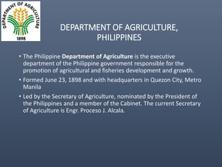 The Philippine Department of Agriculture and its Cassava Industry Roadmap