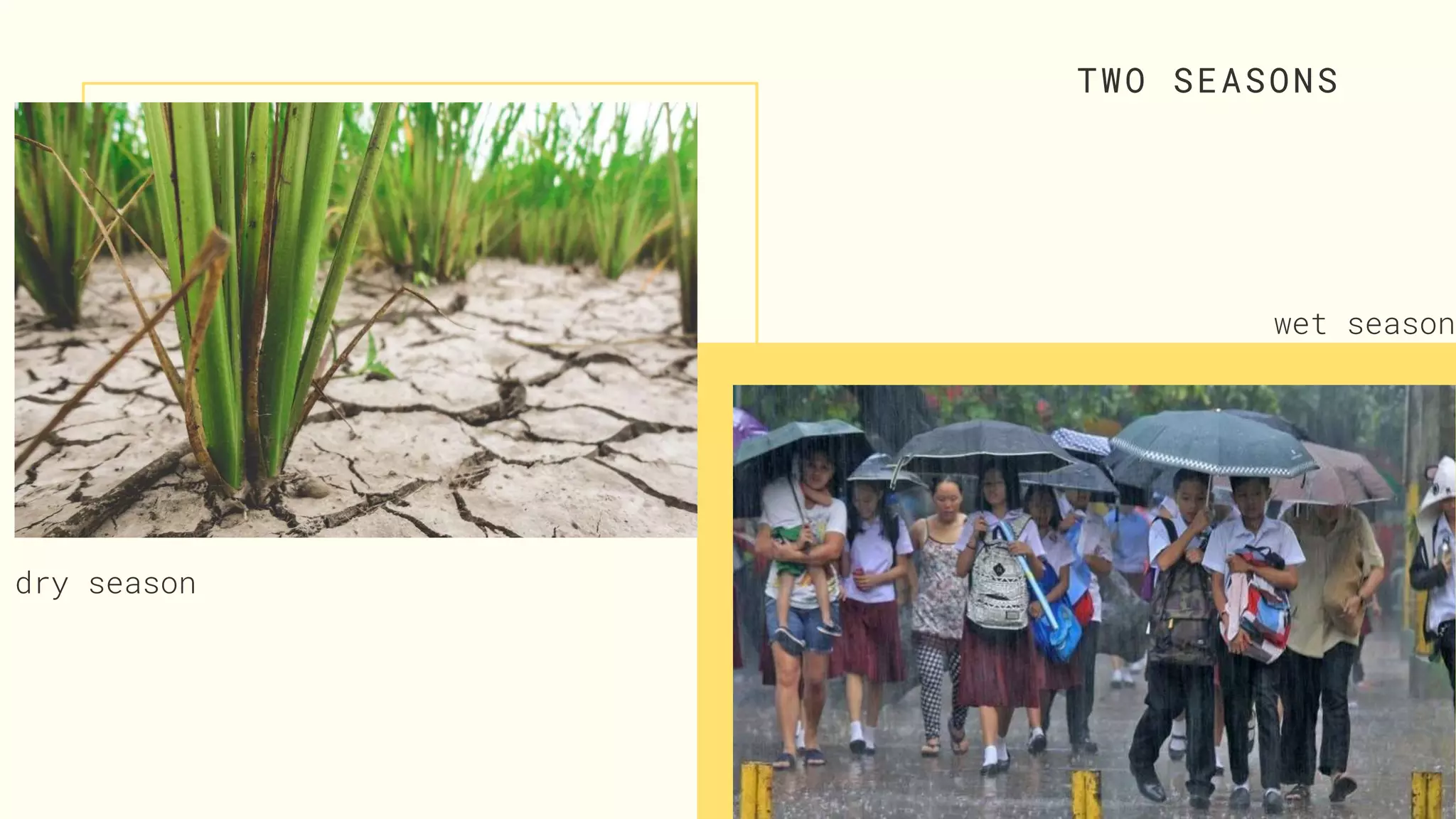 Philippine Climate | PPTX