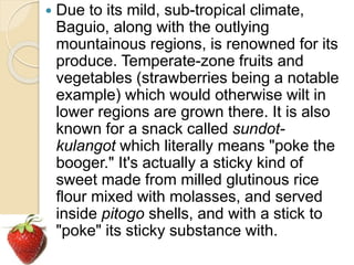  Due to its mild, sub-tropical climate,
Baguio, along with the outlying
mountainous regions, is renowned for its
produce. Temperate-zone fruits and
vegetables (strawberries being a notable
example) which would otherwise wilt in
lower regions are grown there. It is also
known for a snack called sundot-
kulangot which literally means "poke the
booger." It's actually a sticky kind of
sweet made from milled glutinous rice
flour mixed with molasses, and served
inside pitogo shells, and with a stick to
"poke" its sticky substance with.
 