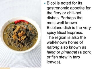 Bicol is noted for its
gastronomic appetite for
the fiery or chili-hot
dishes. Perhaps the
most well-known
Bicolano dish is the very
spicy Bicol Express.
The region is also the
well-known home of
natong also known as
laing or pinangat (a pork
or fish stew in taro
leaves).
 