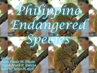 Philippine
     Endangered
       Species
Group 5
Juan Paulo M. Dizon
Elijah Mark P. Garcia
Gabriel Jeiyo M. Gob
 