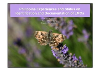 Philippine Experiences & Status on Identification & Documentation of LMO