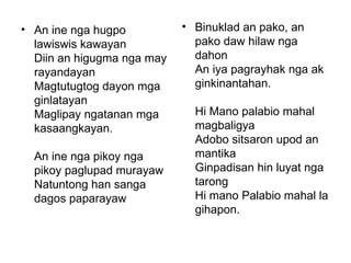 An ine nga hugpo lawiswis kawayan  Diin an higugma nga may rayandayan  Magtutugtog dayon mga ginlatayan  Maglipay ngatanan mga kasaangkayan.  An ine nga pikoy nga pikoy paglupad murayaw  Natuntong han sanga dagos paparayaw  Binuklad an pako, an pako daw hilaw nga dahon  An iya pagrayhak nga ak ginkinantahan.  Hi Mano palabio mahal magbaligya  Adobo sitsaron upod an mantika  Ginpadisan hin luyat nga tarong  Hi mano Palabio mahal la gihapon.  
