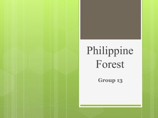 Philippine
Forest
Group 13
 
