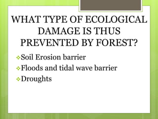 WHAT TYPE OF ECOLOGICAL
DAMAGE IS THUS
PREVENTED BY FOREST?
Soil Erosion barrier
Floods and tidal wave barrier
Droughts
 