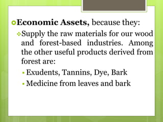 Economic Assets, because they:
Supply the raw materials for our wood
and forest-based industries. Among
the other useful products derived from
forest are:
 Exudents, Tannins, Dye, Bark
 Medicine from leaves and bark
 