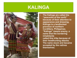 KALINGA
• The Kalinga are called the
“peacocks of the north”
because of their attention to
appearance and dressing.
Kalinga is a landlocked
province of northern
Cordillera, Philippines.
“Kalinga” means enemy, a
name that the bordering
inhabitants
called this tribe because of
their headhunting attacks.
The name stuck and became
accepted by the natives
themselves.
 