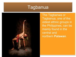 Tagbanua
• The Tagbanwa or
Tagbanua, one of the
oldest ethnic groups in
the Philippines, can be
mainly found in the
central and
northern Palawan.
 