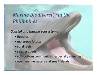 Philippine Milestones on Coastal Marine Management | PDF