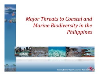 Philippine Milestones on Coastal Marine Management | PDF