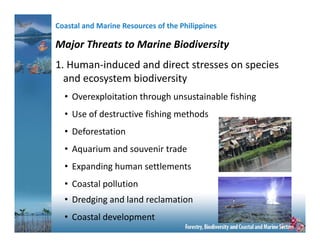 Philippine Milestones on Coastal Marine Management | PDF