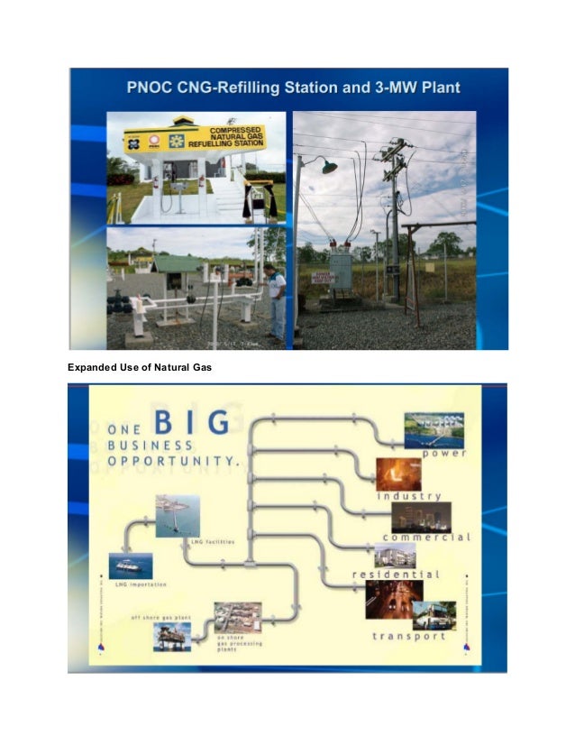 Philippine Natural Gas Industry Overview