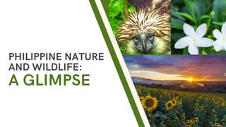 PHILIPPINE NATURE
AND WILDLIFE:
A GLIMPSE
 