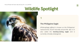 Philippine Nature and Wildlife