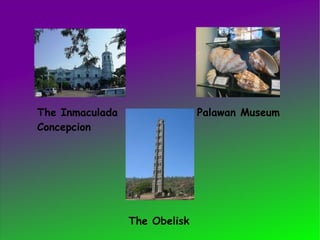 The Inmaculada Concepcion Palawan Museum The Obelisk 