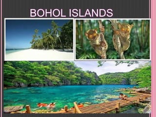 BOHOL ISLANDS
 