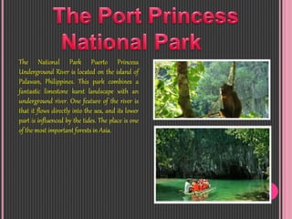 The National Park Puerto Princesa
Underground River is located on the island of
Palawan, Philippines. This park combines a
fantastic limestone karst landscape with an
underground river. One feature of the river is
that it flows directly into the sea, and its lower
part is influenced by the tides. The place is one
of the most important forests in Asia.
 