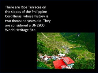 There are Rice Terraces on
the slopes of the Philippine
Cordilleras, whose history is
two thousand years old. They
are considered a UNESCO
World Heritage Site.
 