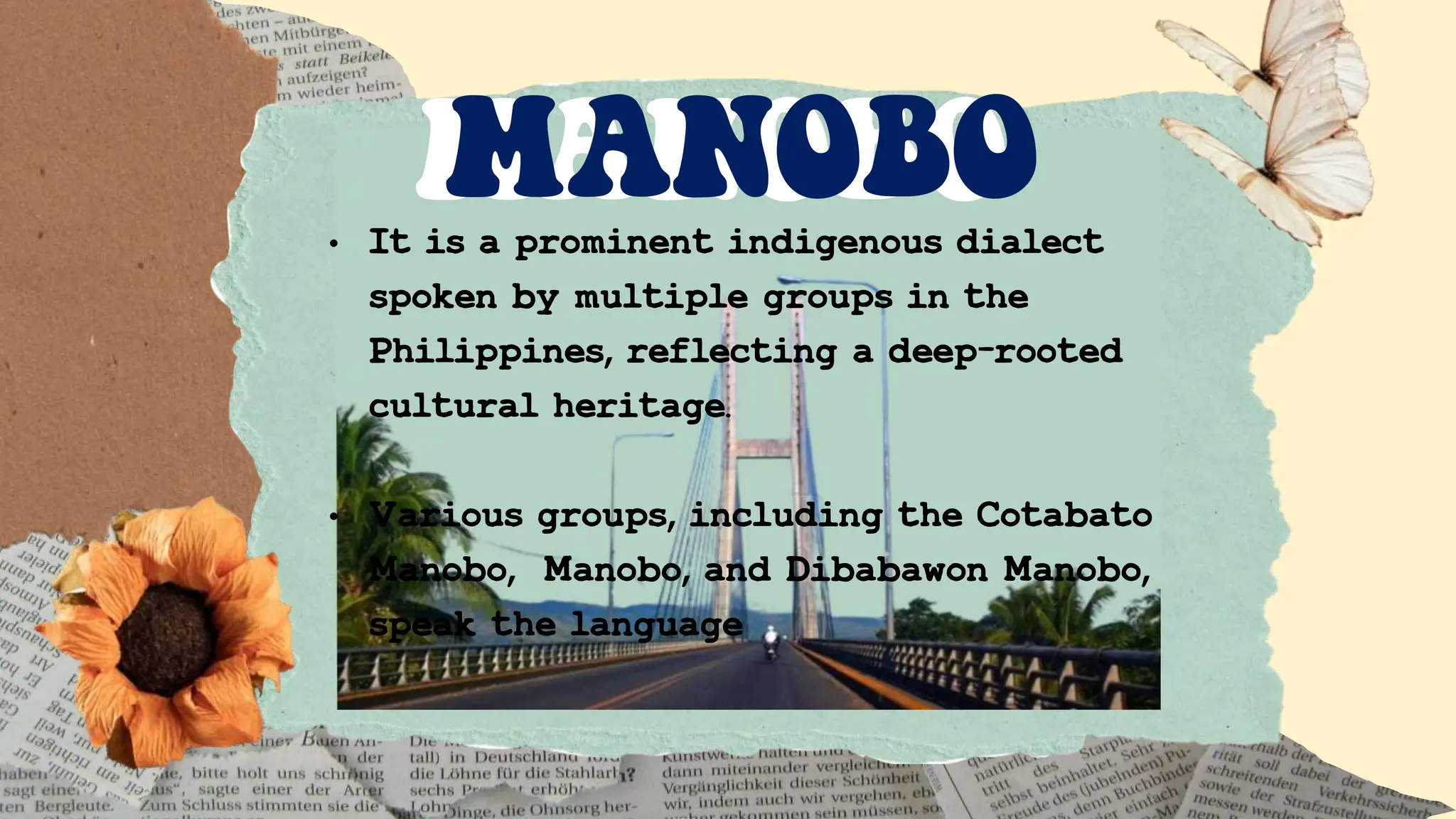 • It is a prominent indigenous dialect
spoken by multiple groups in the
Philippines, reflecting a deep-rooted
cultural heritage.
• Various groups, including the Cotabato
Manobo, Manobo, and Dibabawon Manobo,
speak the language
MANOBO
MANOBO
 