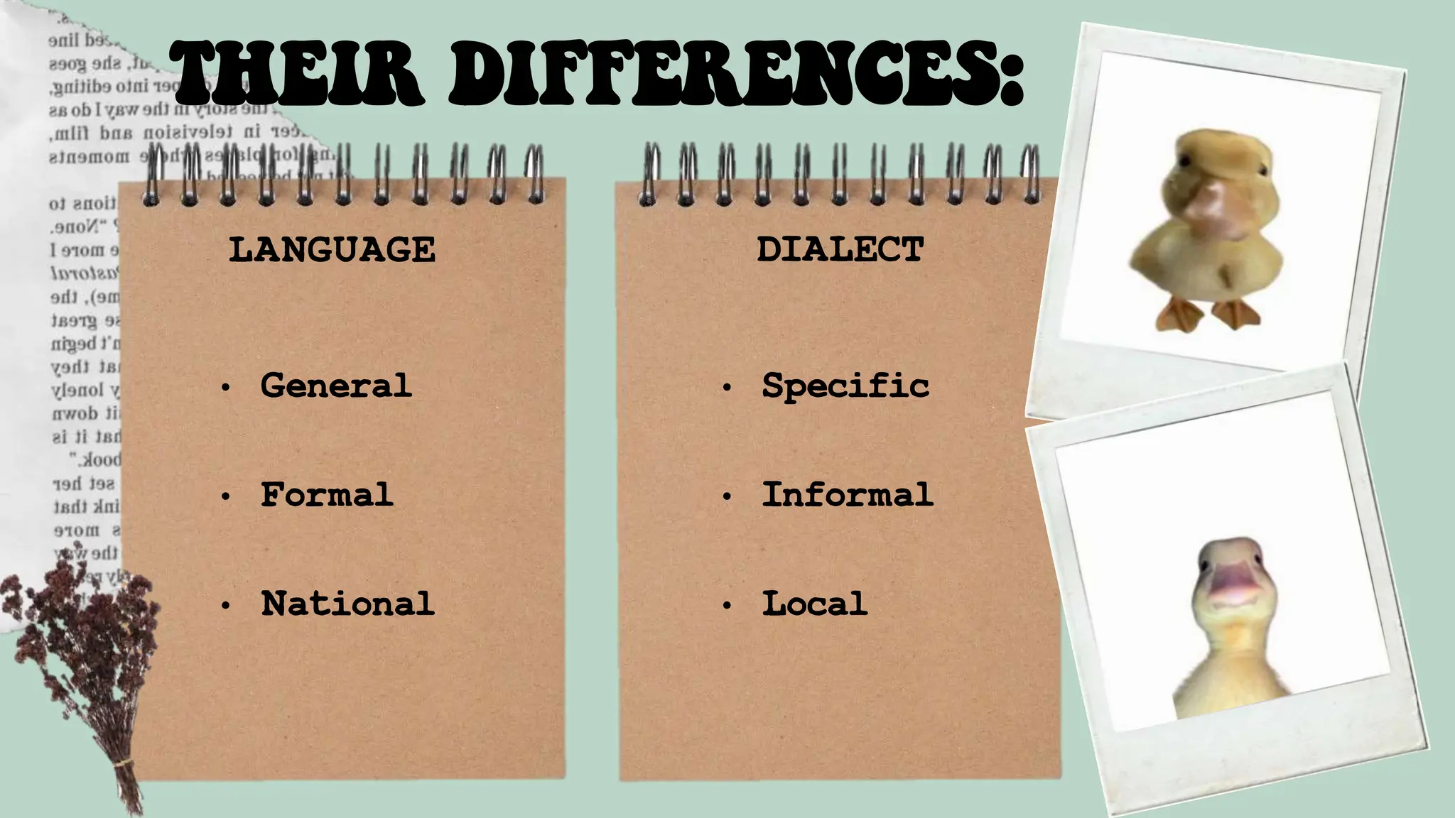 THEIR DIFFERENCES:
LANGUAGE DIALECT
• Specific
• Informal
• Local
• General
• Formal
• National
 