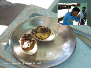 Le « viagra » local, un œuf fécondé… 