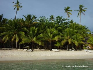 Coco Grove Beach Resort 