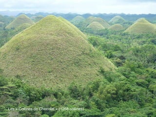 Les « Collines de Chocolat » (1268 collines) 