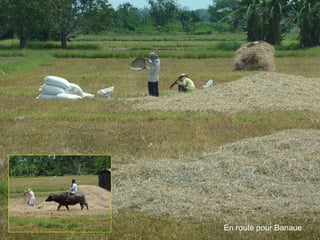 En route pour Banaue 