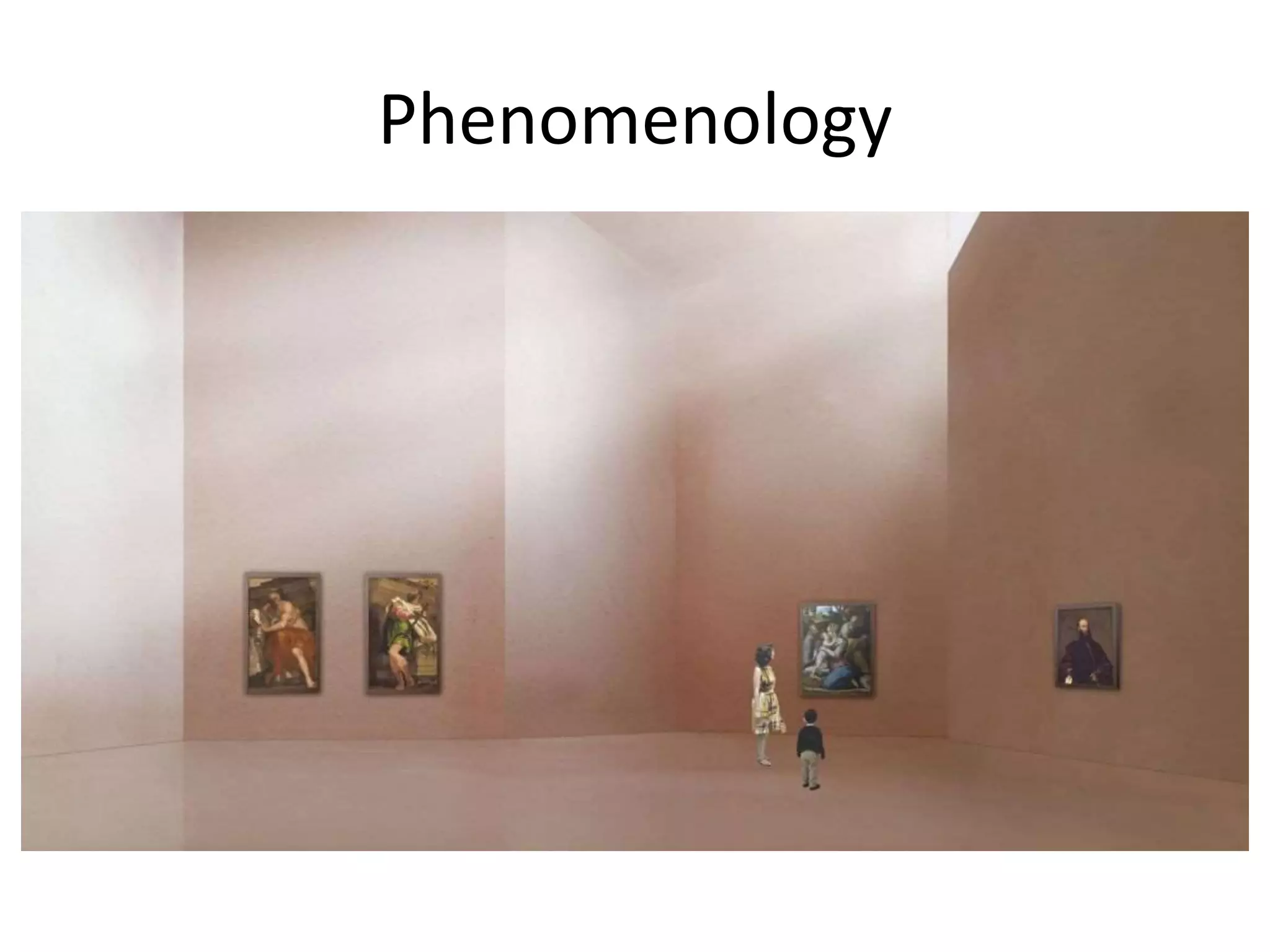 Phenomenology
 