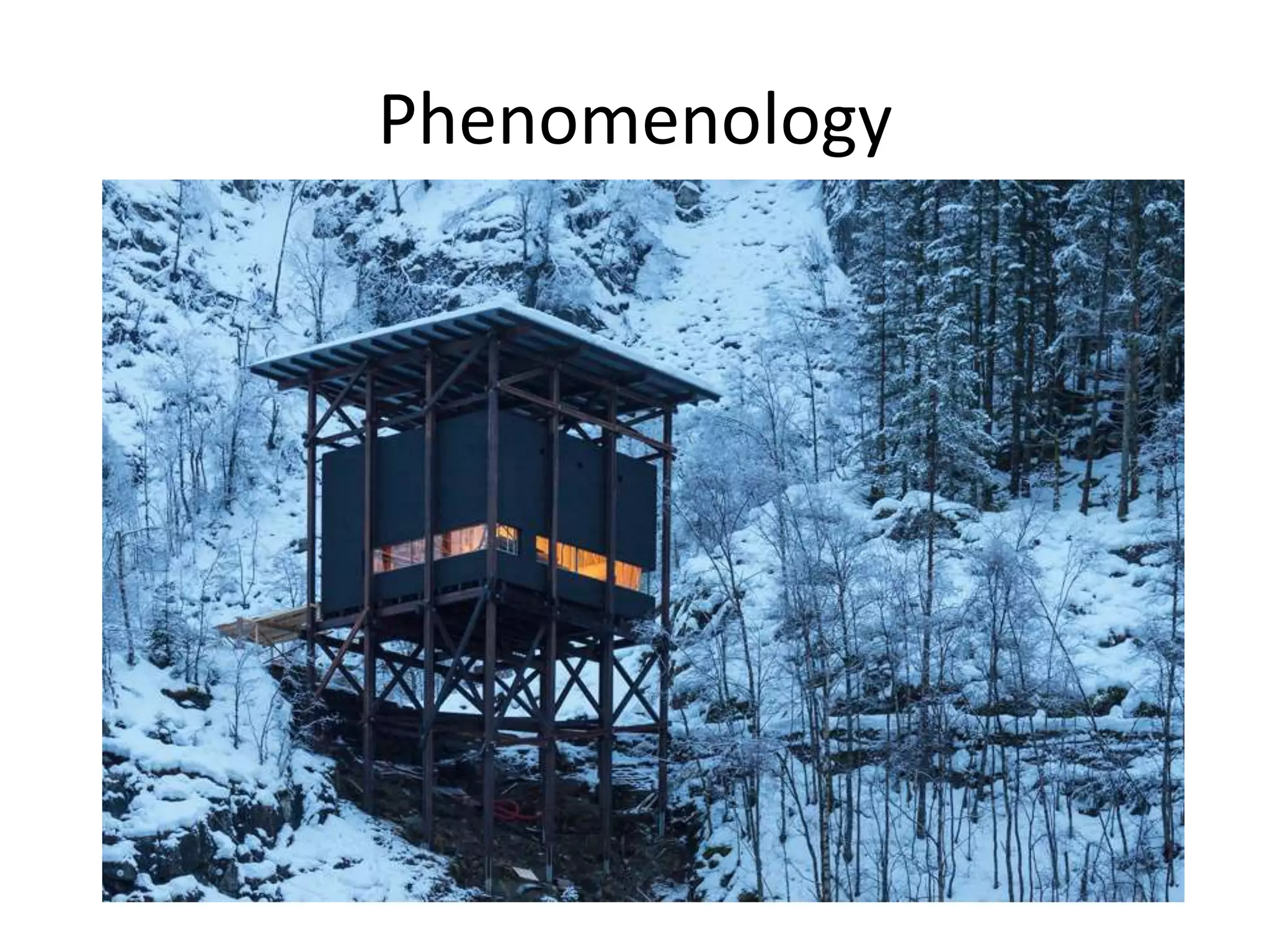 Phenomenology
 