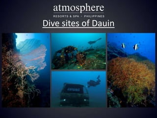 Dive sites of Dauin
 