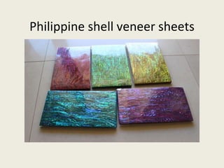 Philippine shell veneer sheets
 