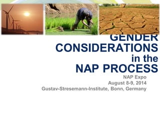 GENDER
CONSIDERATIONS
in the
NAP PROCESS
NAP Expo
August 8-9, 2014
Gustav-Stresemann-Institute, Bonn, Germany
 
