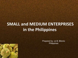 SMALL and MEDIUM ENTERPRISES in the Philippines  Prepared by: Jo B. Bitonio Philippines 