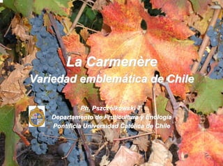 La Carmenère
Variedad emblemática de Chile

             Ph. Pszczólkowski T.
   Departamento de Fruticultura y Enología
   Pontificia Universidad Católica de Chile
 
