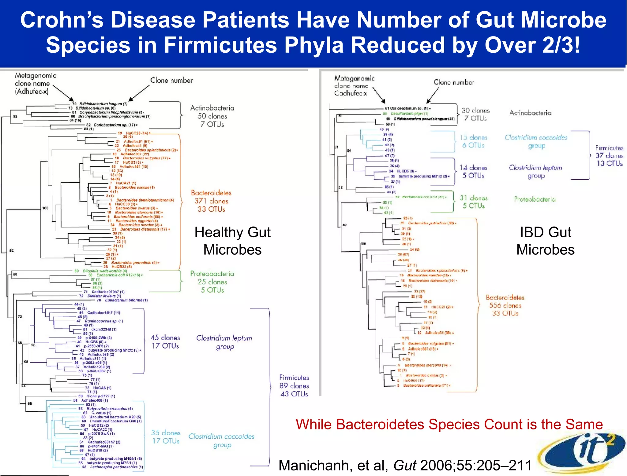 Crohn’s Disease Patients Have Number of Gut Microbe Species in Firmicutes Phyla Reduced by Over 2/3! Manichanh, et al,  Gut  2006;55:205–211 While Bacteroidetes Species Count is the Same Healthy Gut Microbes IBD Gut Microbes 