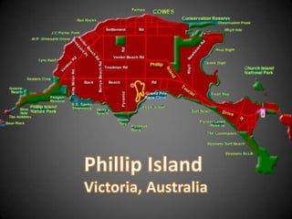 Phillip Island  Victoria, Australia 