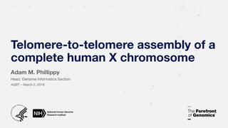 Adam M. Phillippy
Head, Genome Informatics Section
Telomere-to-telomere assembly of a
complete human X chromosome
AGBT – March 2, 2019
 